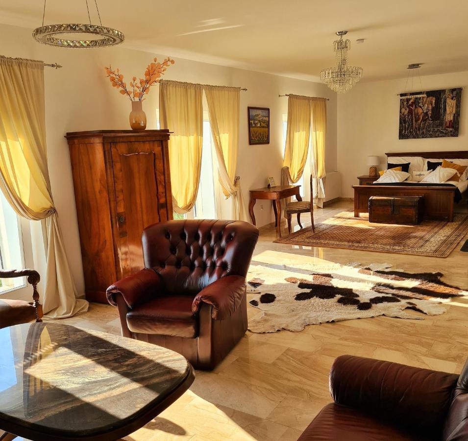 Villa Izabella Бадаксонітьордемік Екстер'єр фото
